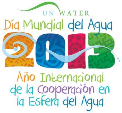 a&ntilde;o internacional